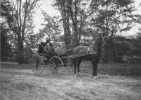 Mrs. Locke Hale (Lucy) in horse carriage, Williamsville, Vt.
