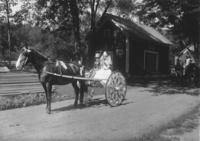 Girl and boy on a decorated carriage in Willimasville parade