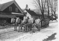 Team of horses pulling sleigh, Willimasville, Vt.