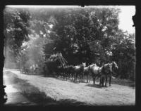 Boiler with eight horse team on road, Williamsville, Vt.