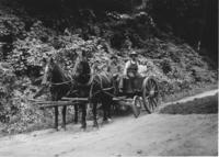 Horse and wagon with two men and a girl