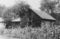 Unidentified barn with corn crop in front, Wardsboro, Vt.