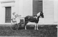 Woman and four girls in a horse and buggy, Williamsville, Vt.