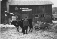 W.J. Metcalf Feed, Stable with boy and oxen team in front