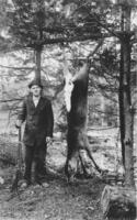 Ashton Timson with hanging deer, Williamsville, Vt.