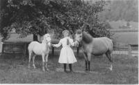 A girl with two ponies at Dr. Nasher's in Townshend, Vt.