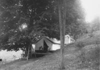 Mr. Nichol's Campsite with Four People and a Dog, in Halifax