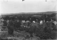 Birdseye view of West Street and Tower House, Newfane, Vt.