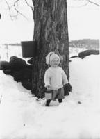 Unidentified child outside in winter with sap bucket