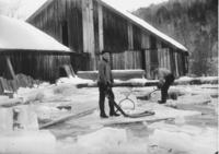 Delbert Pierce and Happy Atkins cutting ice on Binham Mill Pond, South Newfane, Vt.