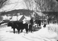 Kids using oxen for snow removal, Williamsville, Vt.