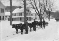 Young men with 6 oxen team and sled, Marlboro, Vt.
