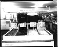 Stores - Sears, Roebuck & Co. (Burlington, VT)
