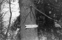 Birch Glen sign on General Stark Mountain