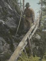 Ladder Ravine on Burnt Rock Mountain