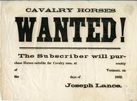 Cavalry horses wanted!