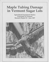 Maple tubing damage in Vermont sugar lots