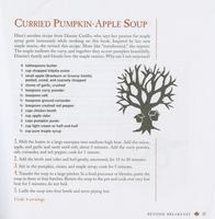 Curried pumpkin-apple soup