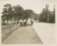 Burlington Streets: North Ave