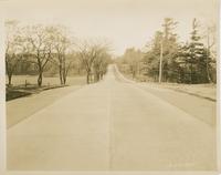 Burlington Streets: North Ave