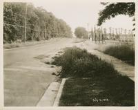 Burlington Streets: Shelburne Road.