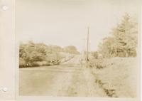 Burlington Streets: Shelburne Road.